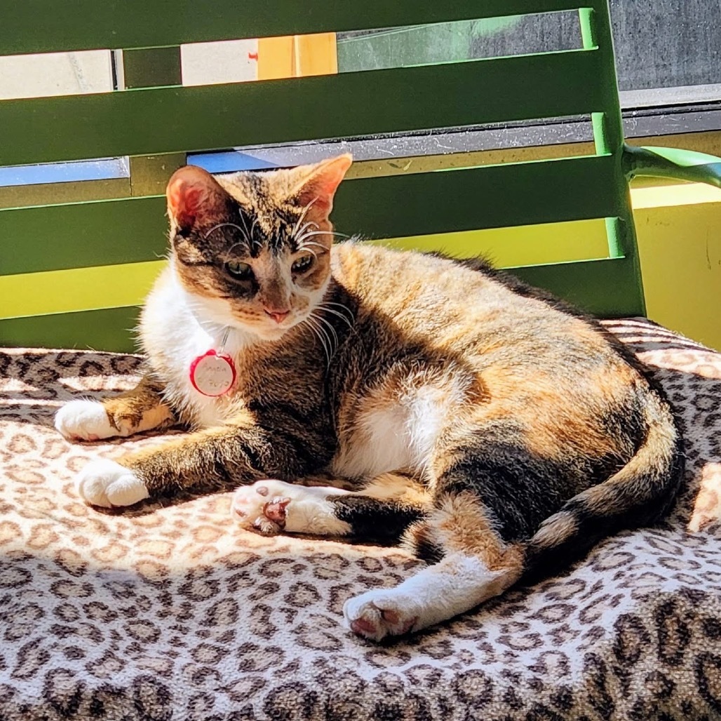 Angela