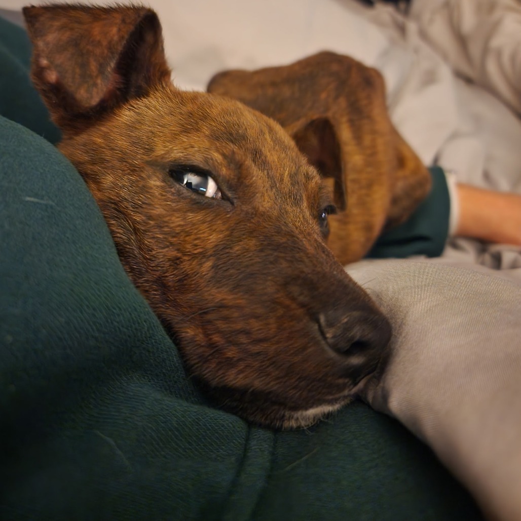 Duke