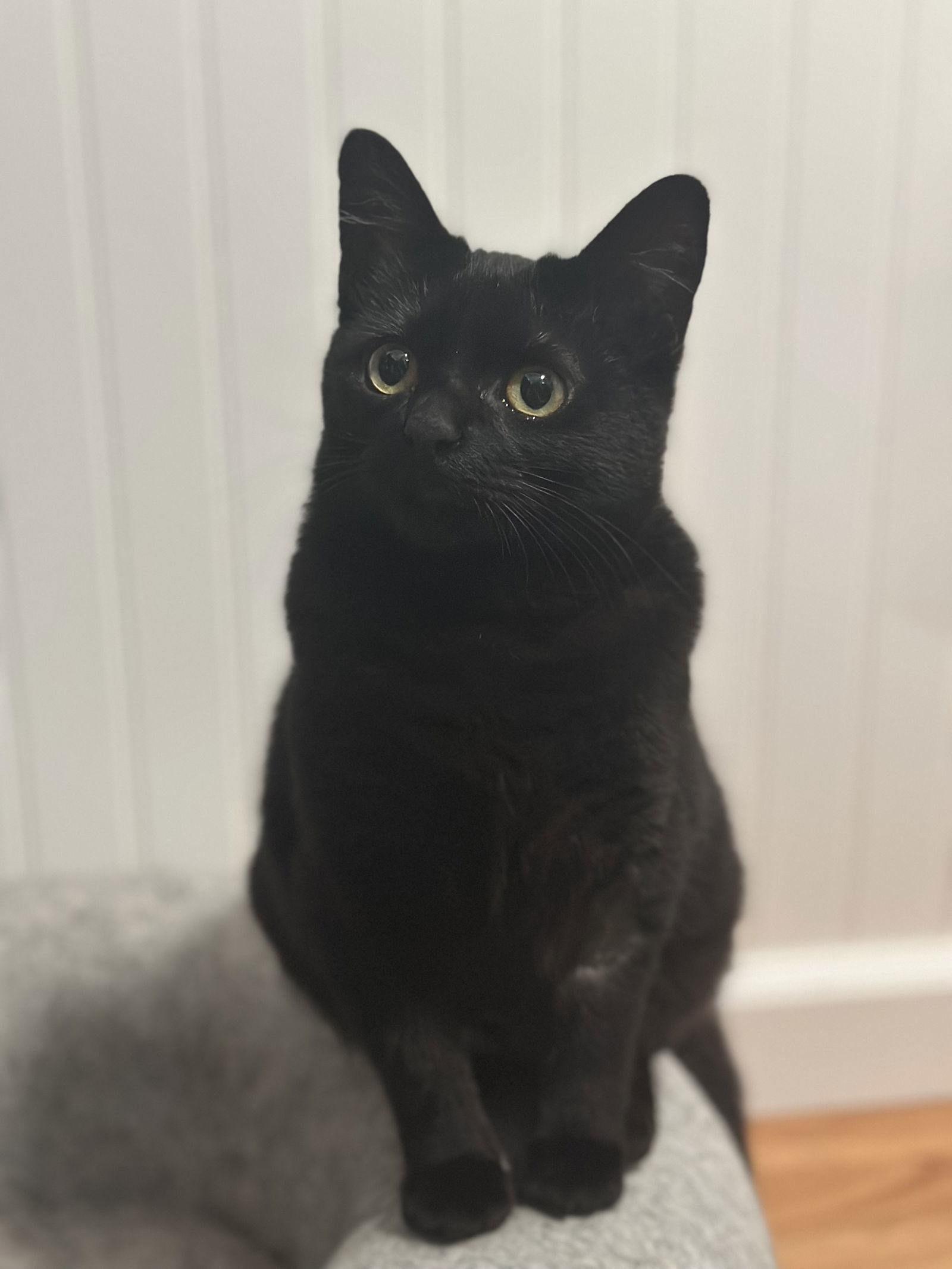 Betty