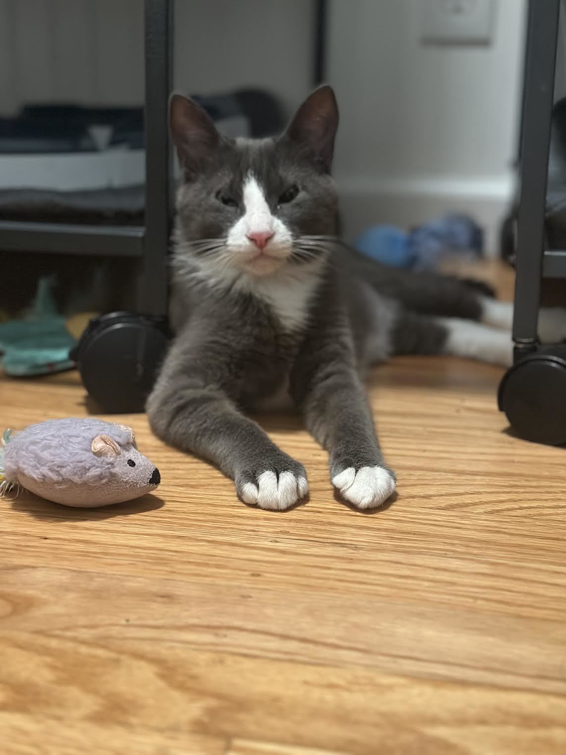 Carl
