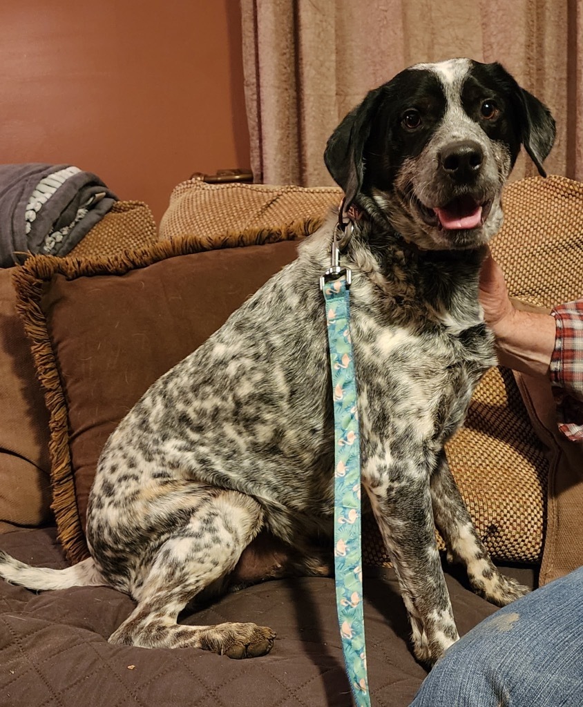 Benny