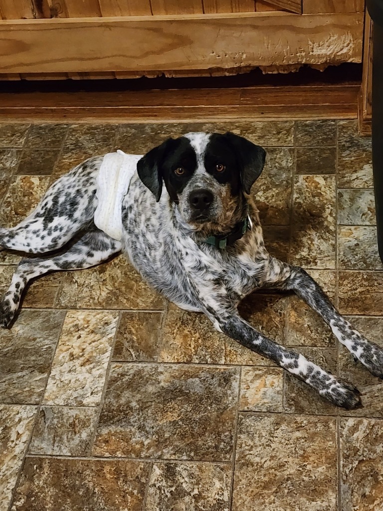 Benny