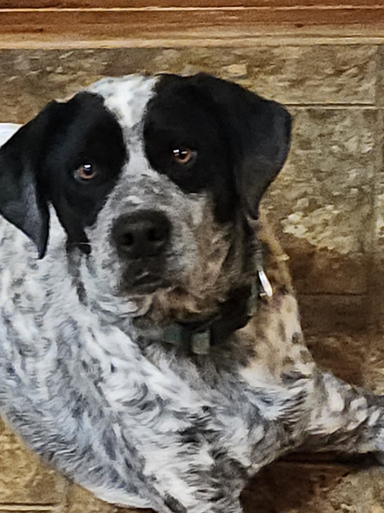 Benny