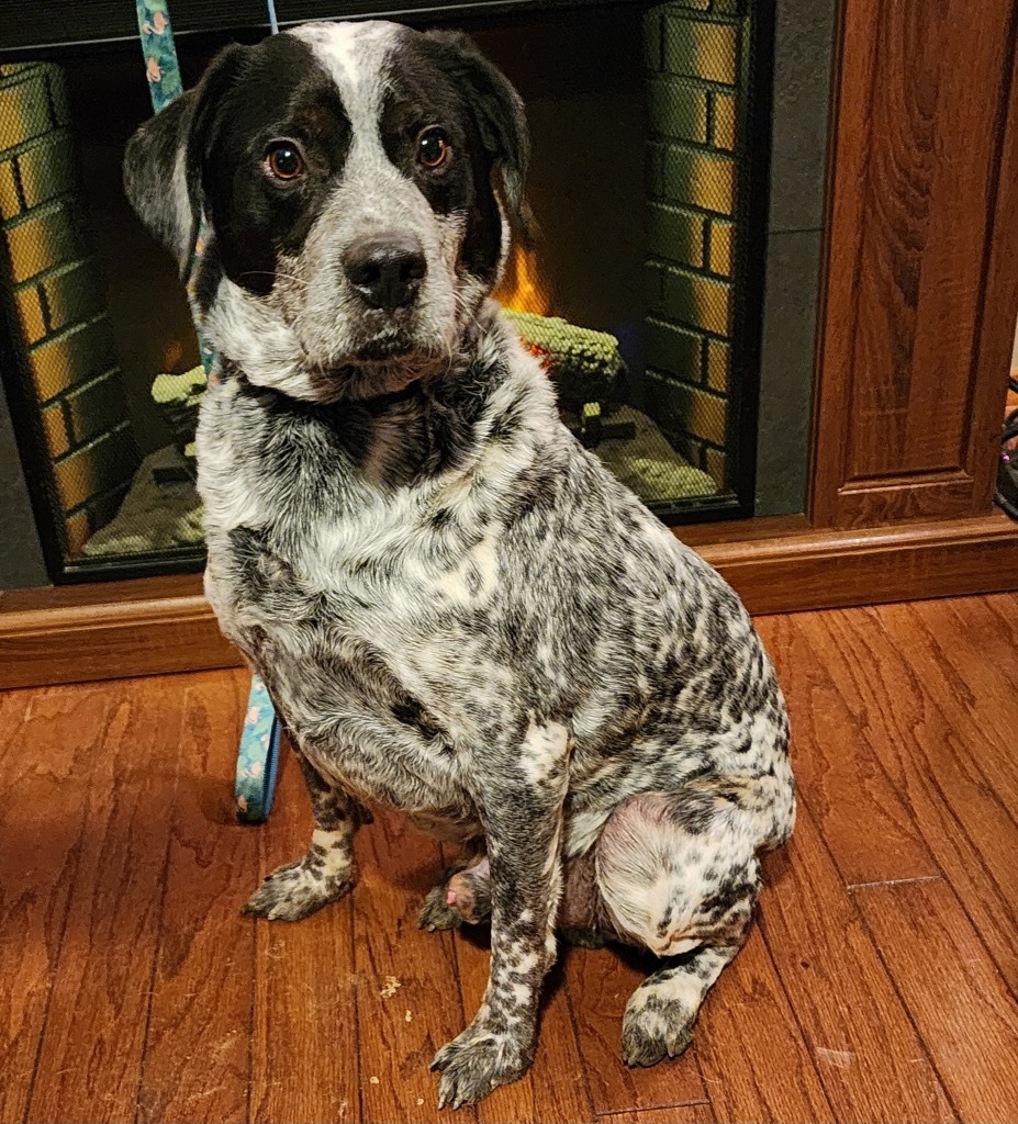 Benny