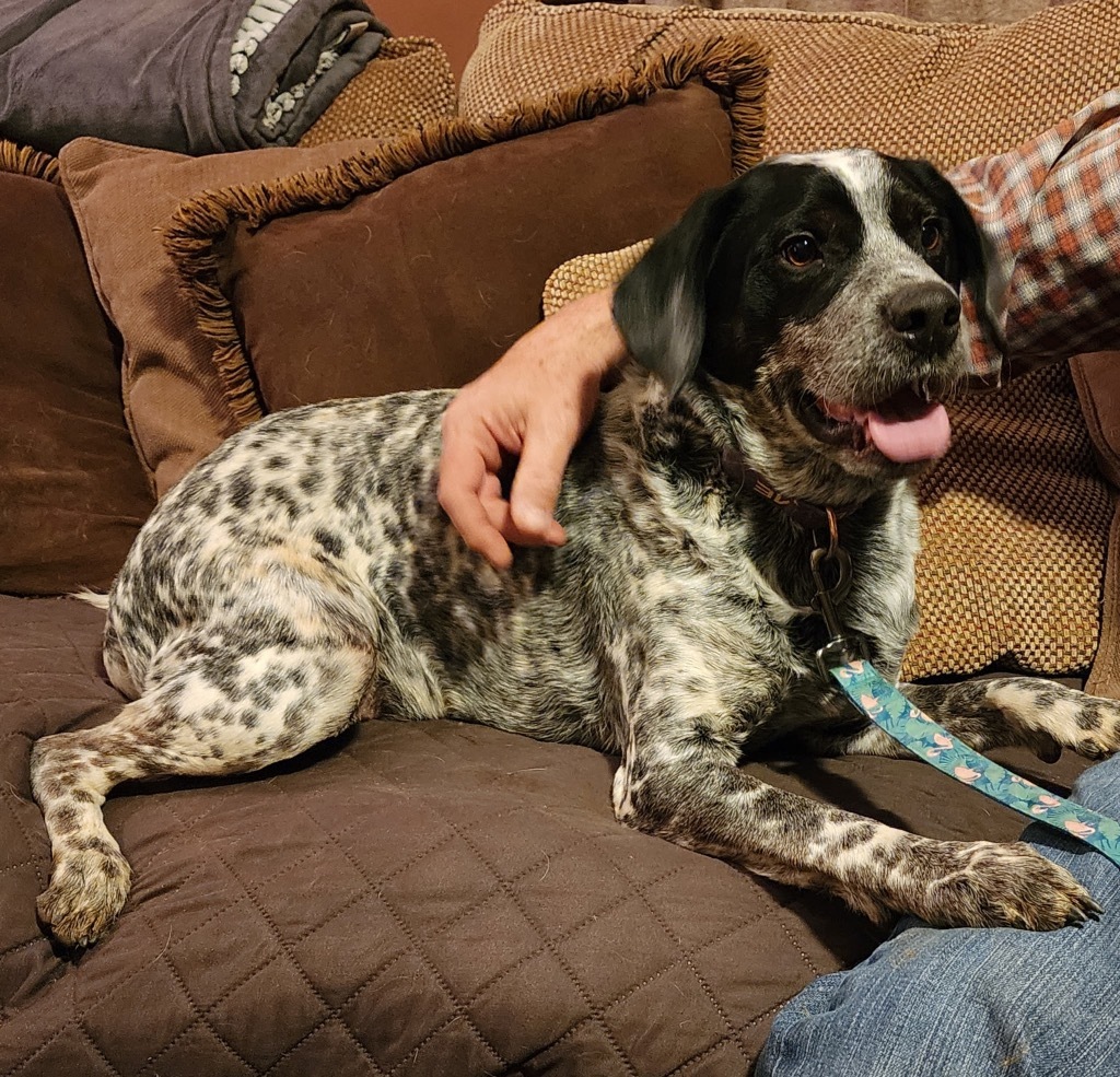 Benny