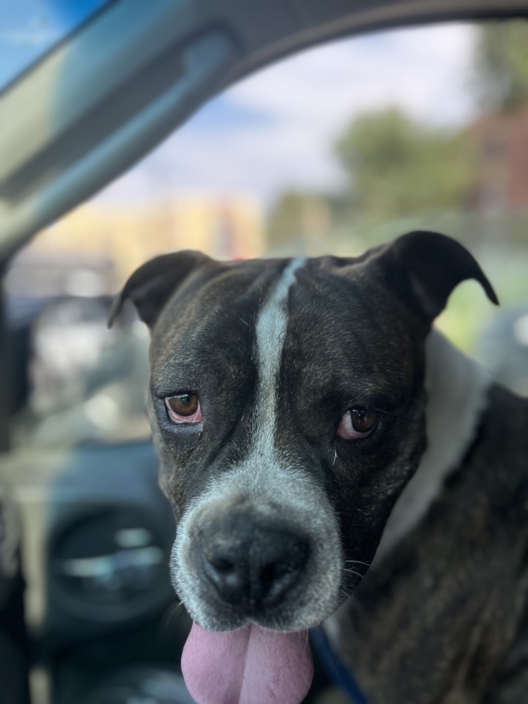 Trevor