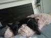 Maggie (Eve) photo 2