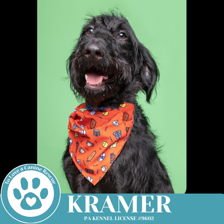 Kramer (No Soup Squad) 030825
