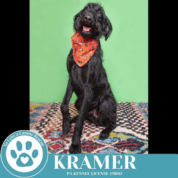 Kramer (No Soup Squad) 030825