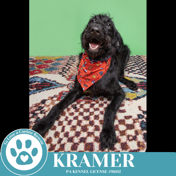 Kramer (No Soup Squad) 030825