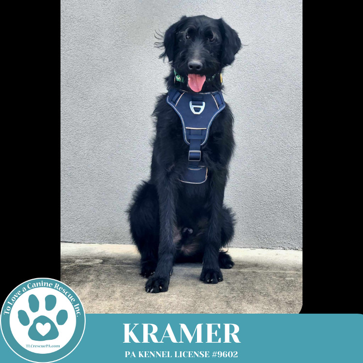 Kramer (No Soup Squad) 030825