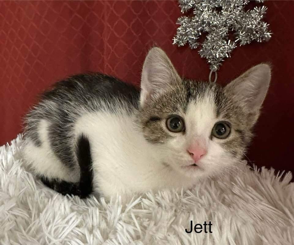Jet