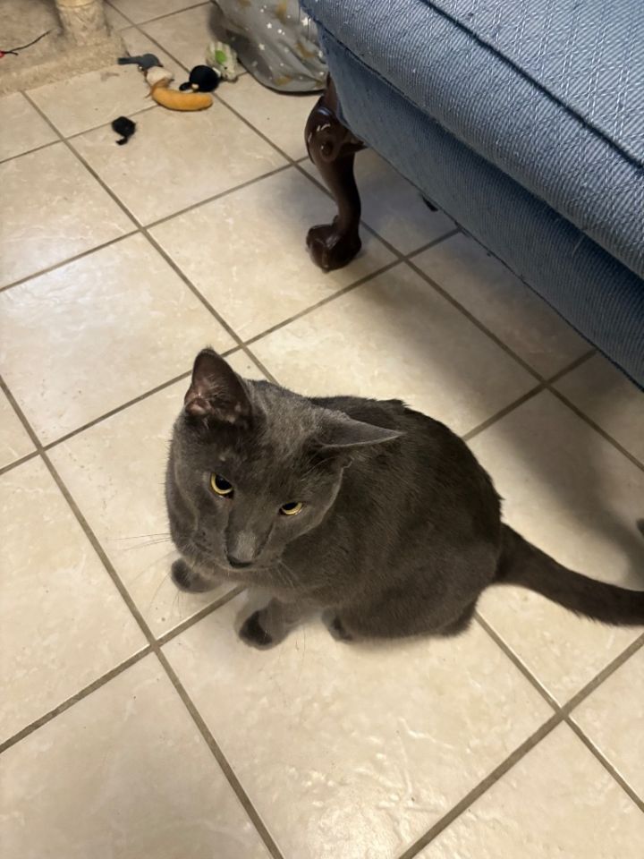 Jack bonded w/ Bella 5