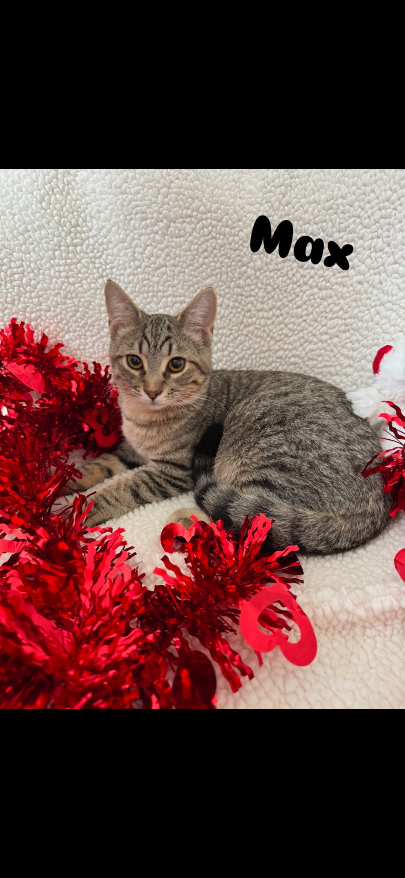 Max