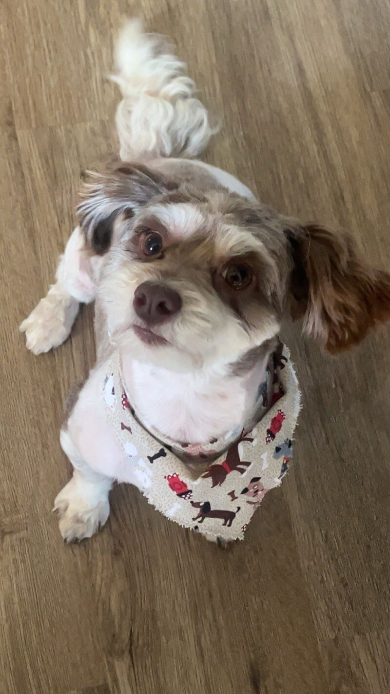 Carter (male)