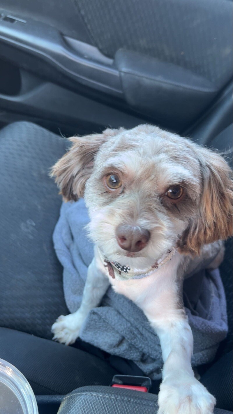 Carter (male)