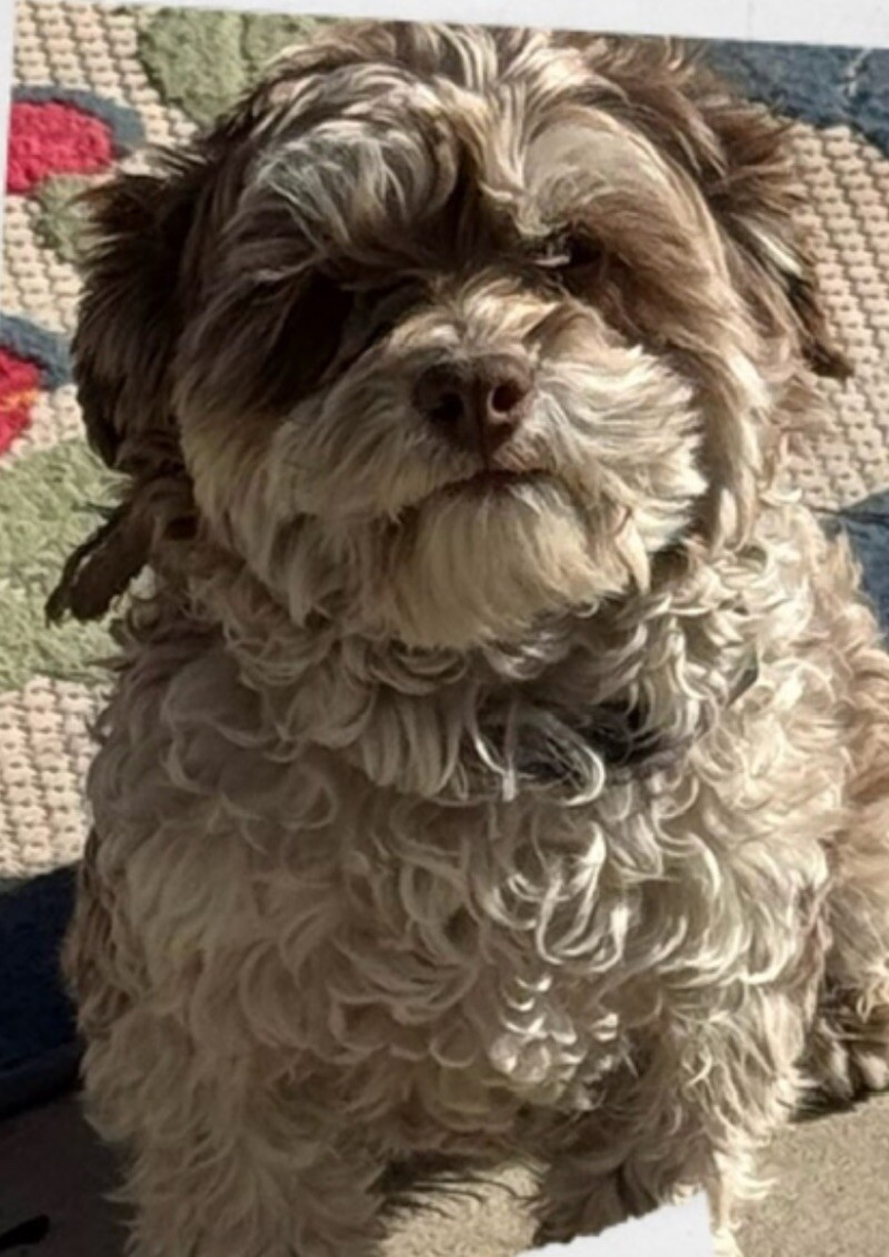 Carter (male)