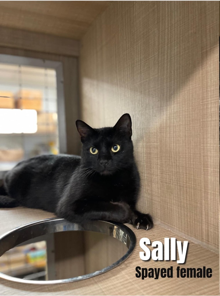 Sally