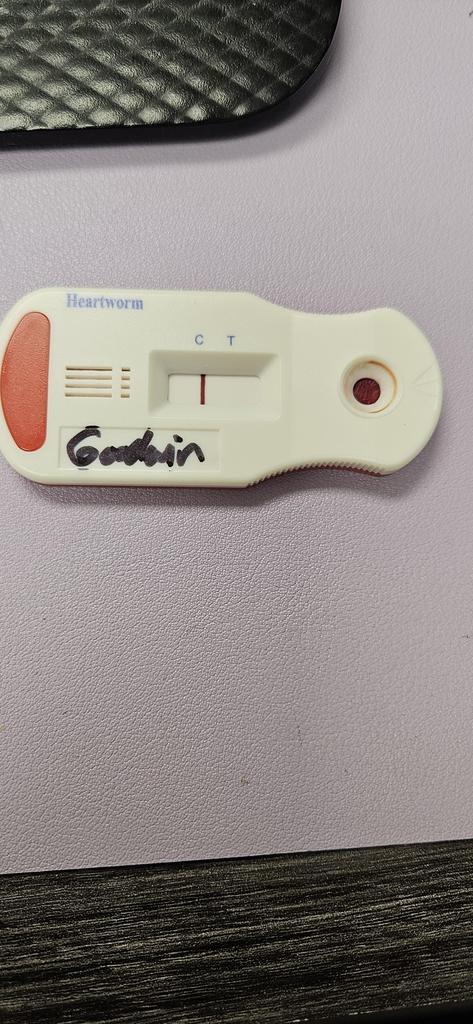 Goodwin