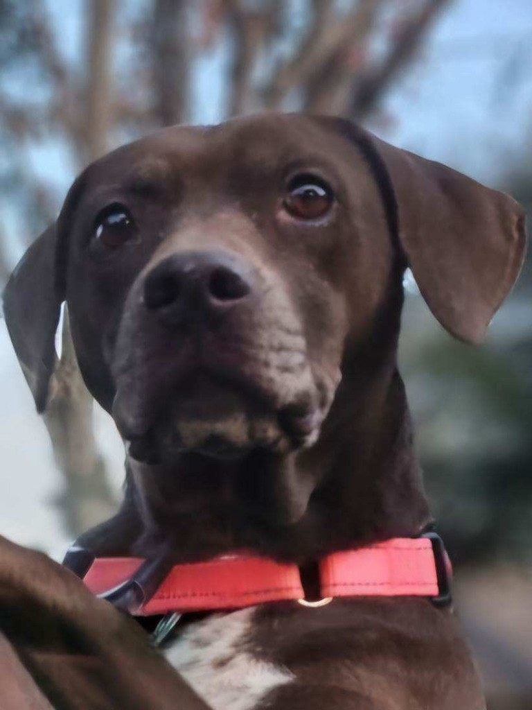 Ruby