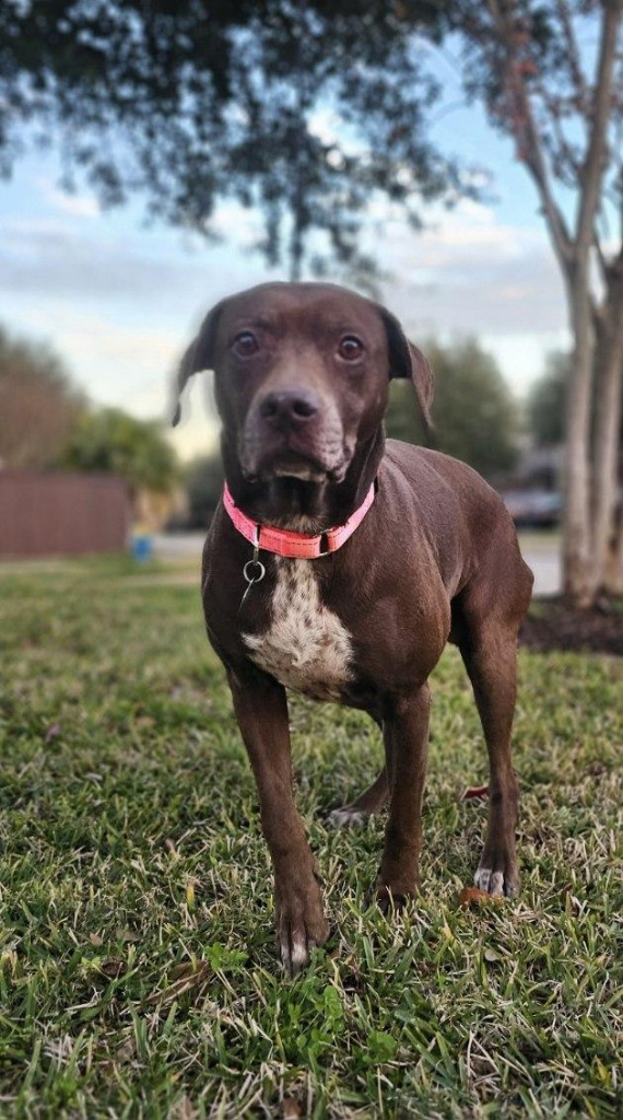 Ruby