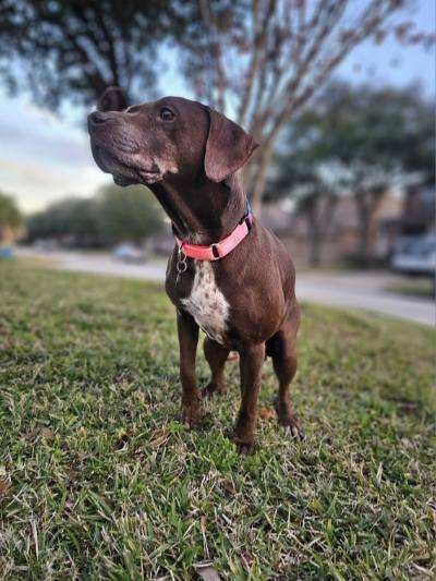 Ruby