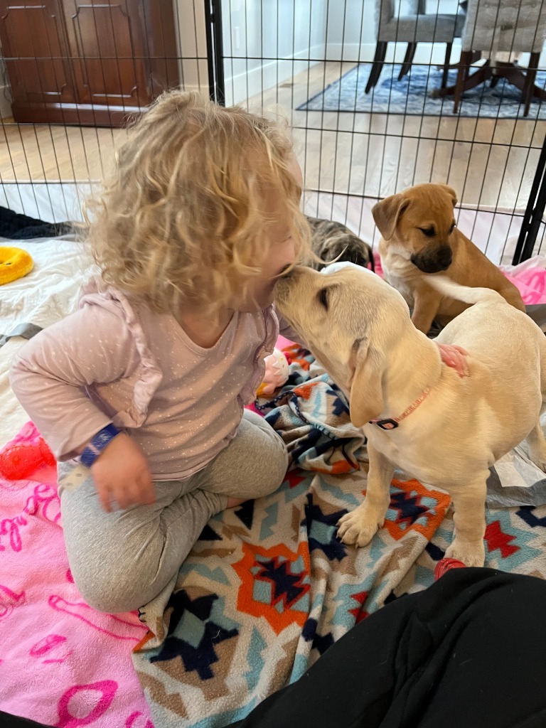 Ana CG - Local Puppy