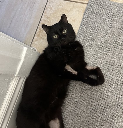 Fitz