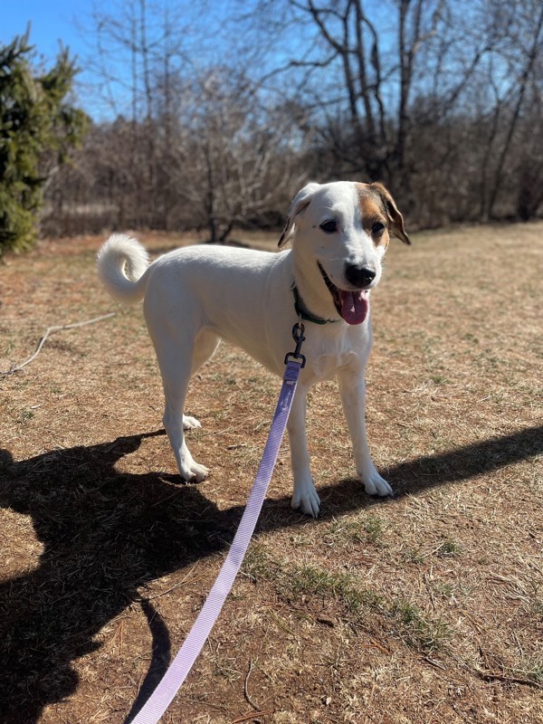 Bella
