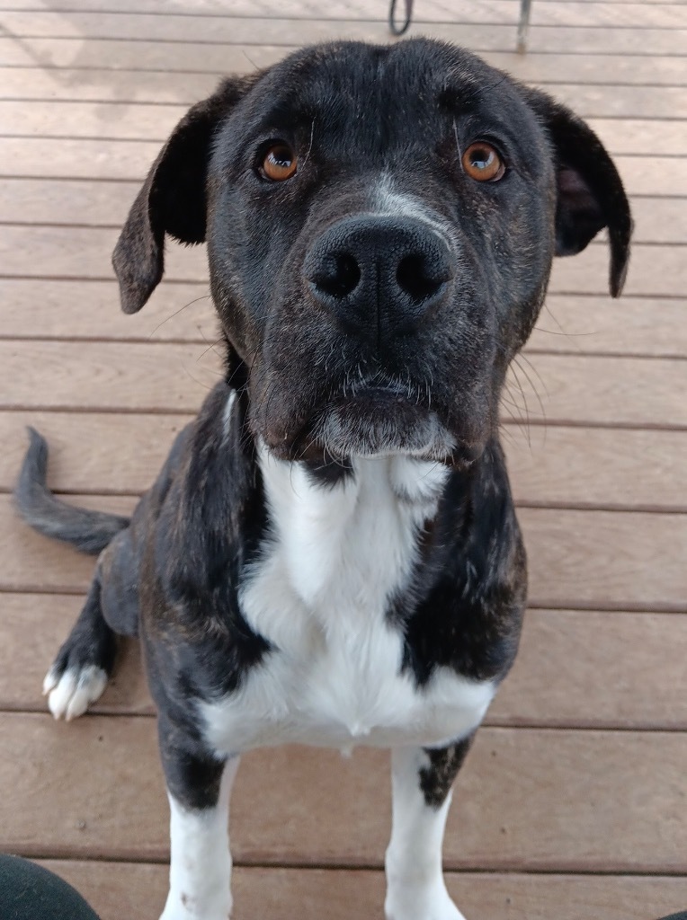 Buster
