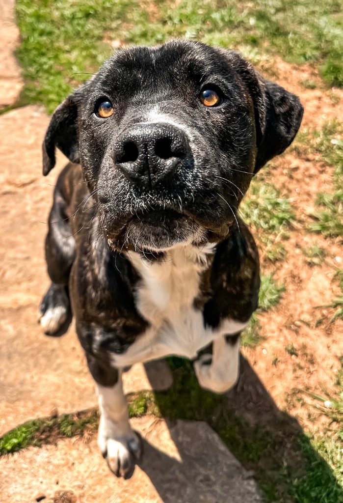Buster