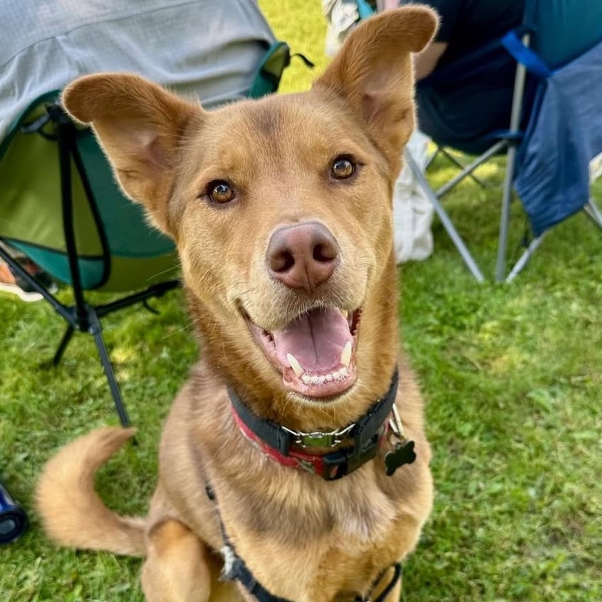 Sammy