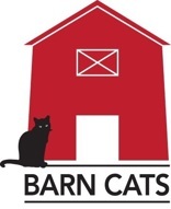 Barn Cat Bruce