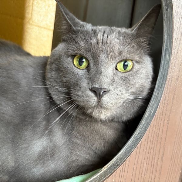 Catrick Swayze