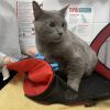 Catrick Swayze