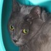 Catrick Swayze