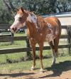Missy photo 1
