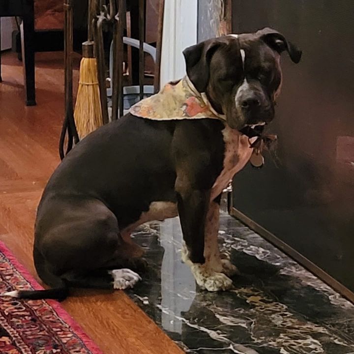 Winston 2