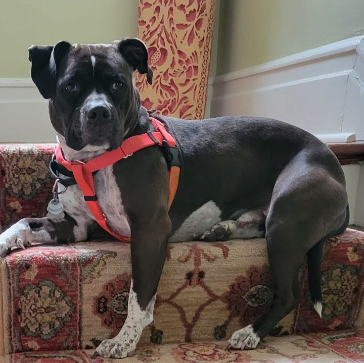 Winston 3