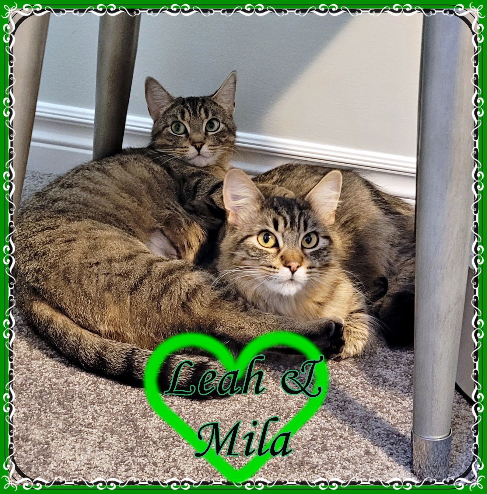 LEAH & MILA BONDED MOM & DAUGHTER