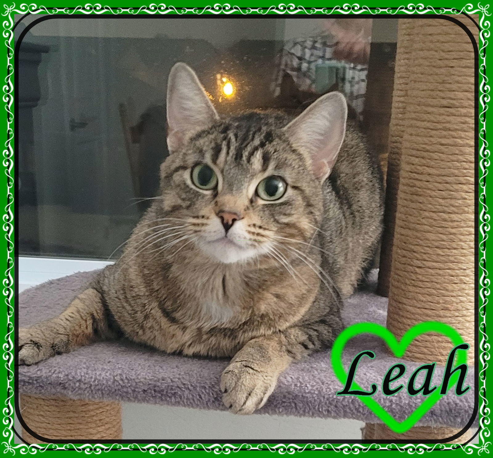 LEAH & MILA BONDED MOM & DAUGHTER
