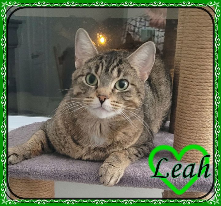 LEAH & MILA BONDED MOM & DAUGHTER 2