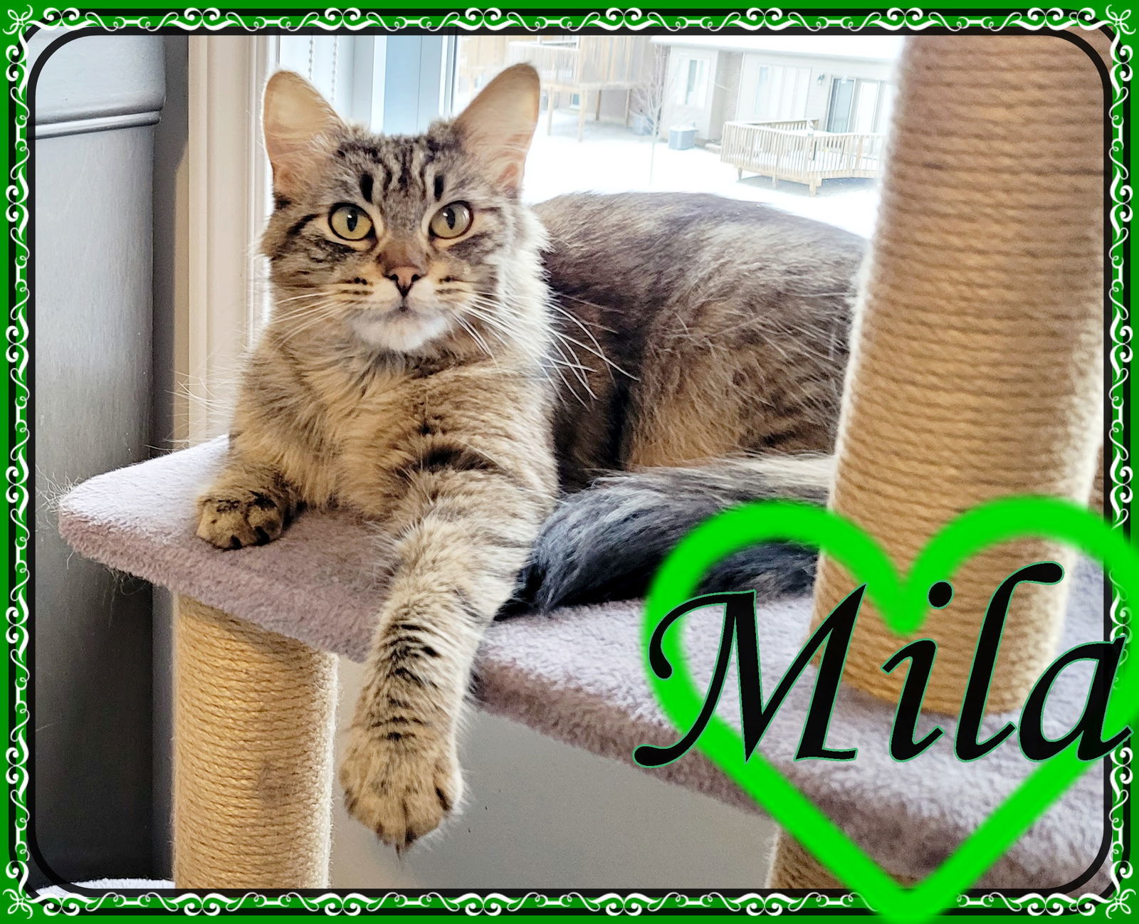 LEAH & MILA BONDED MOM & DAUGHTER