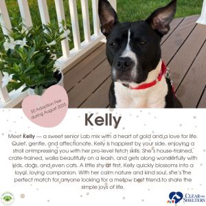 Kelly