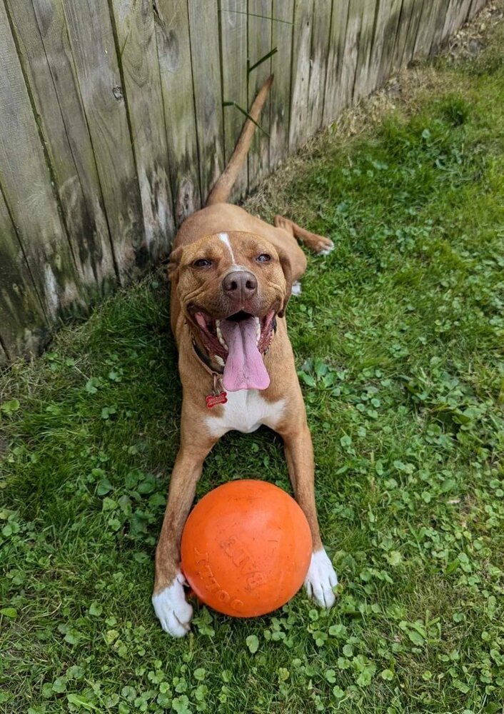 Nash