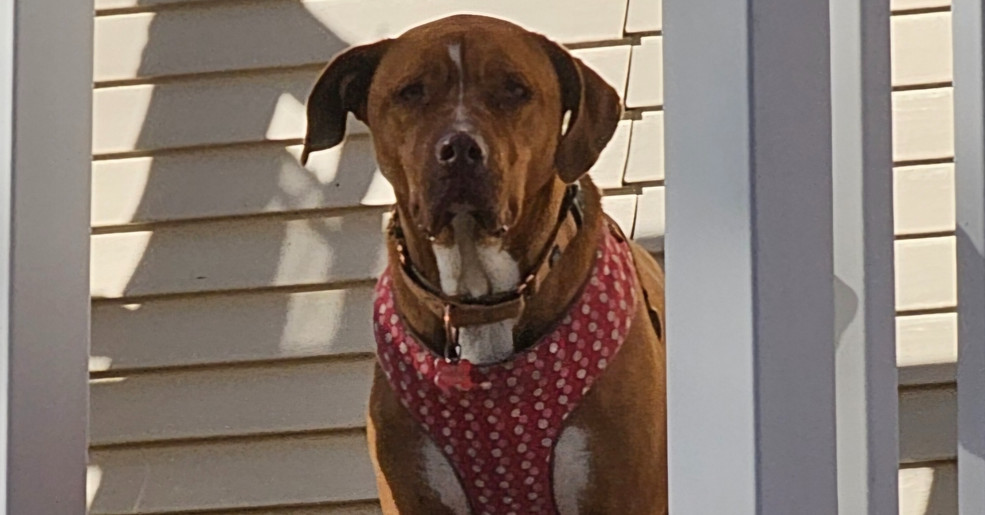 Nash