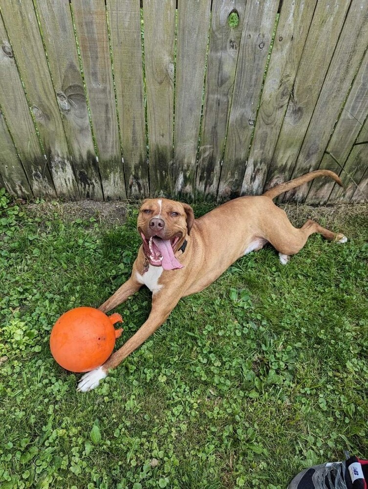 Nash
