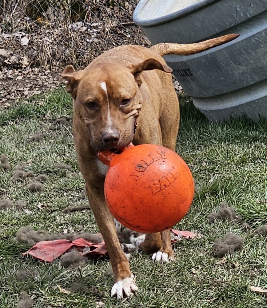 Nash