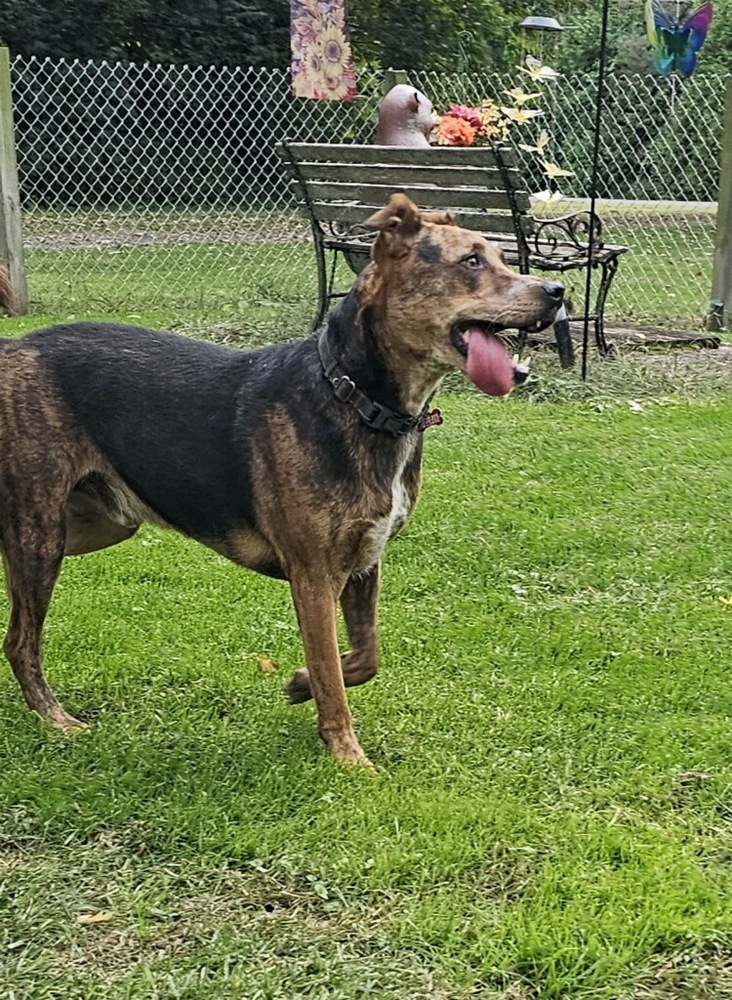 Andy