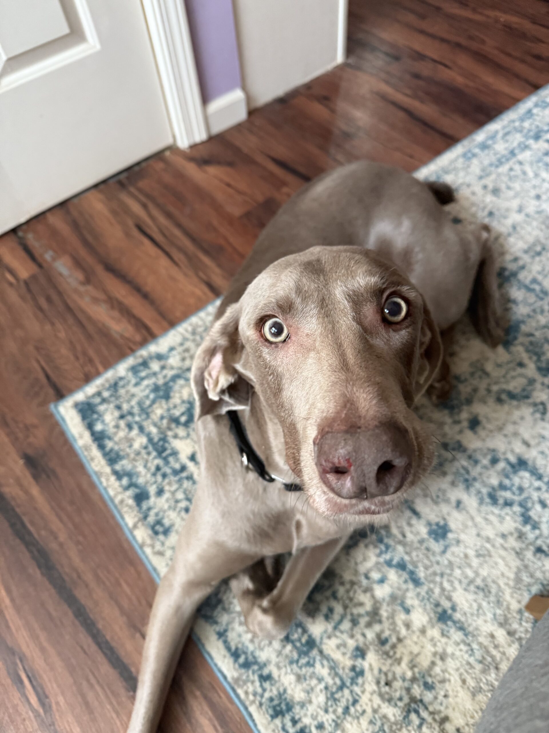Charlie